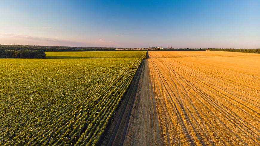 Domini collettivi, territorio, pratiche agricole e forestali sostenibili